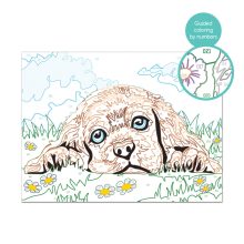 Festés szám szerint - Kutyus - Paint & Frame