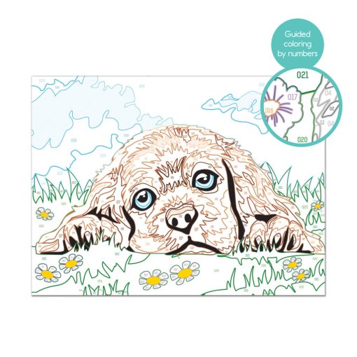 Festés szám szerint - Kutyus - Paint & Frame