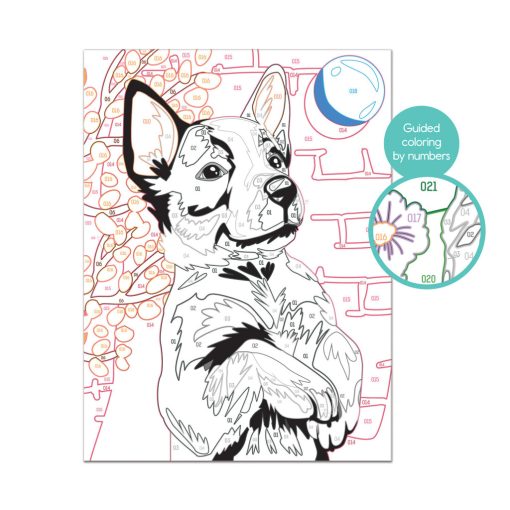 Festés szám szerint - Husky - Paint & Frame