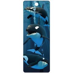 3D könyvjelző- Kardszárnyú delfin