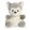 Palm Pals plüssfigura - Busky husky