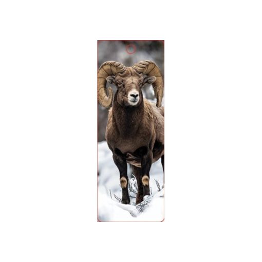 3D könyvjelző- Bighorn kanadai vadjuh
