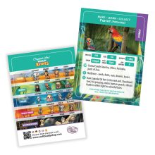 Gyémántszemes kirakó - Papagáj