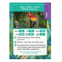 Gyémántszemes kirakó - Papagáj