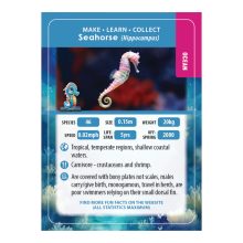 Gyémántszemes kirakó - Csikóhal