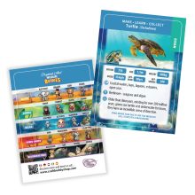 Gyémántszemes kirakó - Teknős