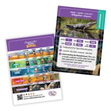 Crystal Art Gyémántszemes kirakó - Aligátor